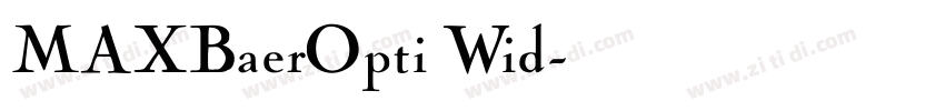 MAXBaerOpti Wid字体转换